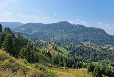 Teren extravilan de 500 mp, în Brădetu - 10