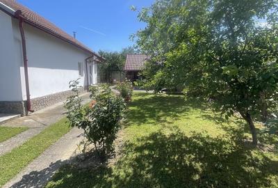 Casă cu 3 camere cu Teren 2300 Mp în Central