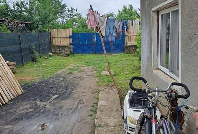 Casă cu 3 camere în Barza - 1