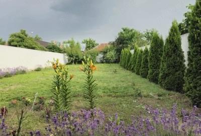 Casă cu 4 camere cu Teren 580 Mp în Central - 2