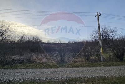 Teren de 2500 mp, în Odobești - 5