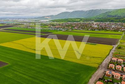 Teren agricol extravilan de 13742 mp, în Cristian - 7