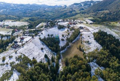 Teren de 12000 mp, în Moieciu - 2