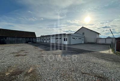Spațiu industrial, de 500 mp, în Cristian
