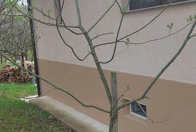 Casă cu Teren 1100 Mp în Central