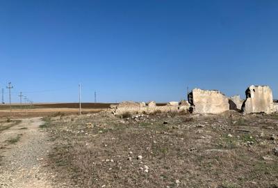 Teren intravilan de 12481 mp, în Mihail Kogălniceanu - 2