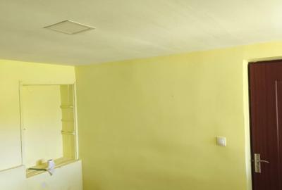 Casă cu 4 camere în Lița