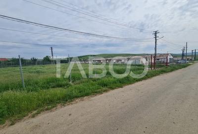 Spațiu industrial, de 840 mp, în Cut - 4