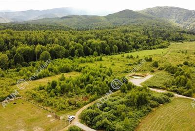 Teren Construcții intravilan de 3900 mp, în Porumbacu de Sus - 5