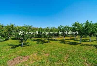 Casă individuală cu 5 camere cu Canalizare în Felnac - 8