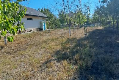 Teren de 1240 mp, în Central