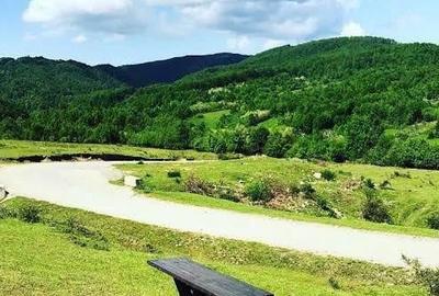 Teren de 10000 mp, în Groși - 1