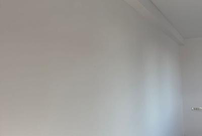 Duplex cu 4 camere cu Canalizare în Bălăceanca - 33