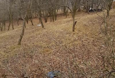 Teren de 1700 mp, în Olănești - 7