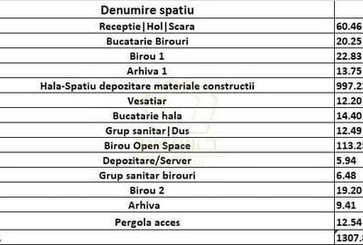 Spațiu industrial, de 1,308 mp, în Sânandrei - 12