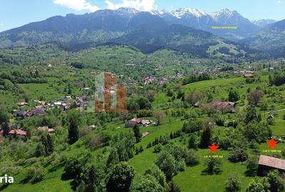 Spațiu comercial, în Bran