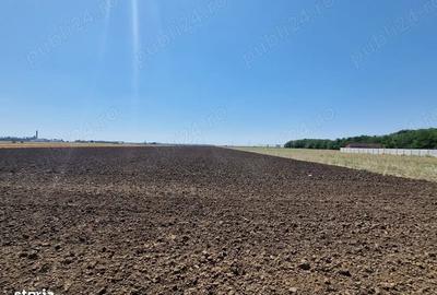 Teren de 60000 mp, în Dragoș Vodă - 1