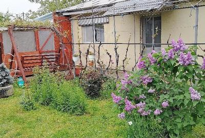 Casă cu 3 camere cu Teren 1000 Mp în Vânători - 4