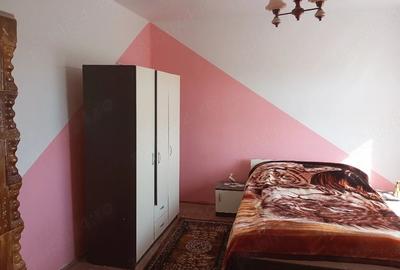 Casă cu 2 camere cu Teren 4707 Mp în Hălmăgel - 9
