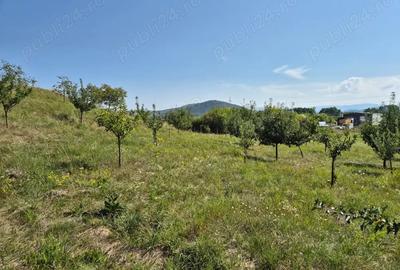 Teren de 12300 mp, în Crainimăt - 3