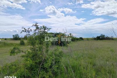 Teren de 114000 mp, în Ariceștii Rahtivani - 18
