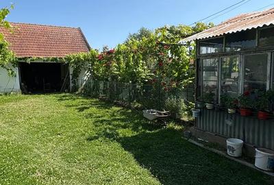 Casă cu 3 camere cu Teren 650 Mp în Visag - 5
