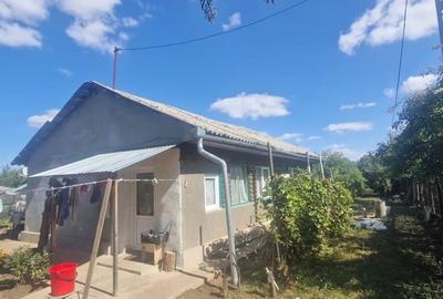 Casă cu 3 camere cu Teren 2100 Mp în Livedea - 5