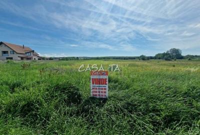 Teren Construcții intravilan de 3405 mp, în Preajba Mare - 3