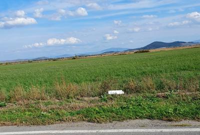 Teren agricol intravilan de 10000 mp, în Est - 1