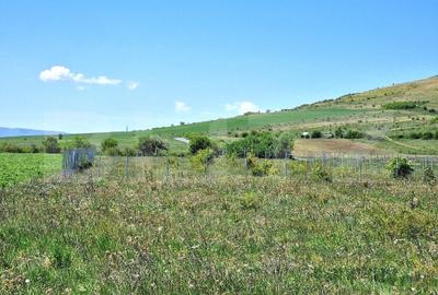Teren agricol extravilan de 1000 mp, în Florești
