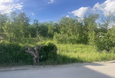 Teren de 3900 mp, în Central - 10