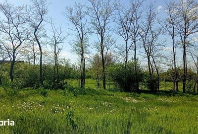 Teren de 3700 mp, în Periș - 2