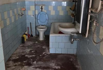Casă cu 3 camere cu Teren 1770 Mp în Central