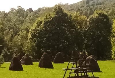 Teren de 2142 mp, în Valea Doftanei - 5