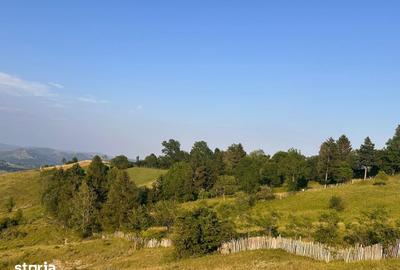Teren de 13000 mp, în Talea - 2
