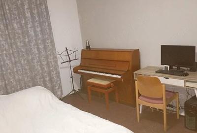 Apartament cu 2 camere semidecomandat în Micălaca - 2