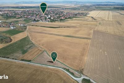 Teren de 5000 mp, în Central