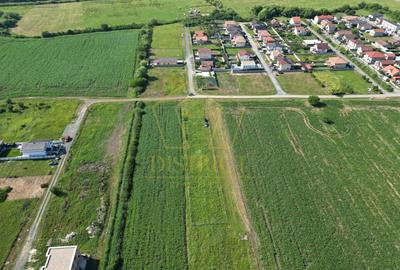 Teren Construcții de 1698 mp, în Ghiroda - 3