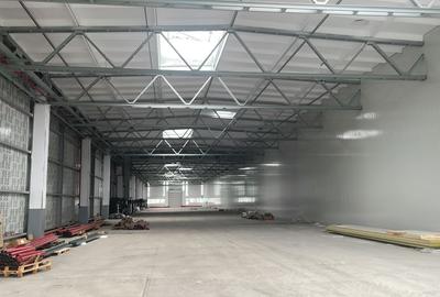 Spațiu industrial, de 1,000 mp, în Astra - 5