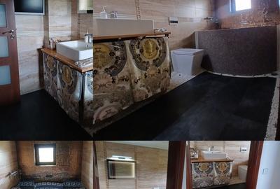 Casă cu 3 camere în Bradu - 1