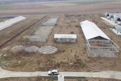 Teren de 16275 mp, în Crizbav - 2