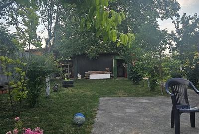 Casă cu Teren 1700 Mp în Grabaț - 3