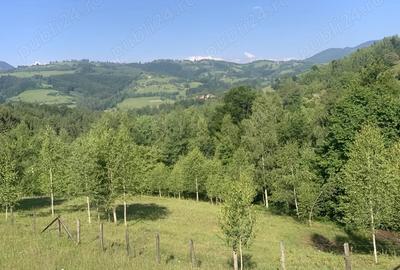 Teren de 4069 mp, în Poiana Mărului - 3