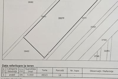 Teren de 5000 mp, în Dridu - 1