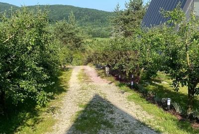 Casă cu 2 camere în Vidra - 1