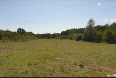 Teren de 60000 mp, în Plopu - 5