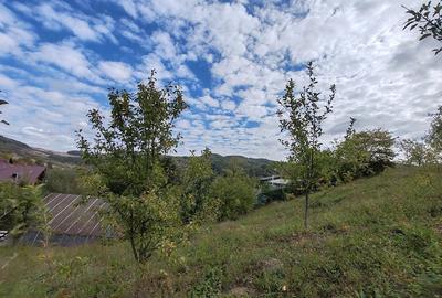 Teren de 5400 mp, în Drăgăneasa - 2