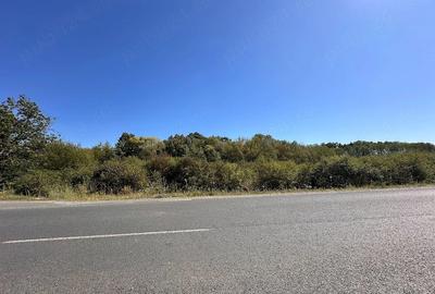 Teren de 7000 mp, în Central
