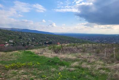 Teren de 3600 mp, în Ghioroc - 3
