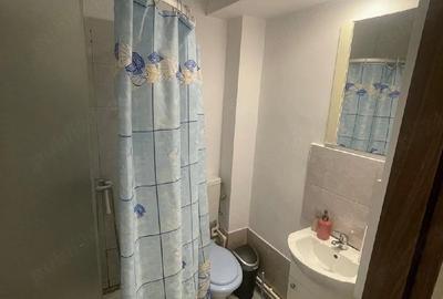 Apartament cu 2 camere semidecomandat în Valea Rosie
